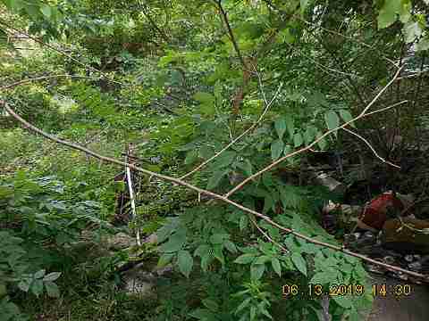 14626 Indiana (6)_m.jpg